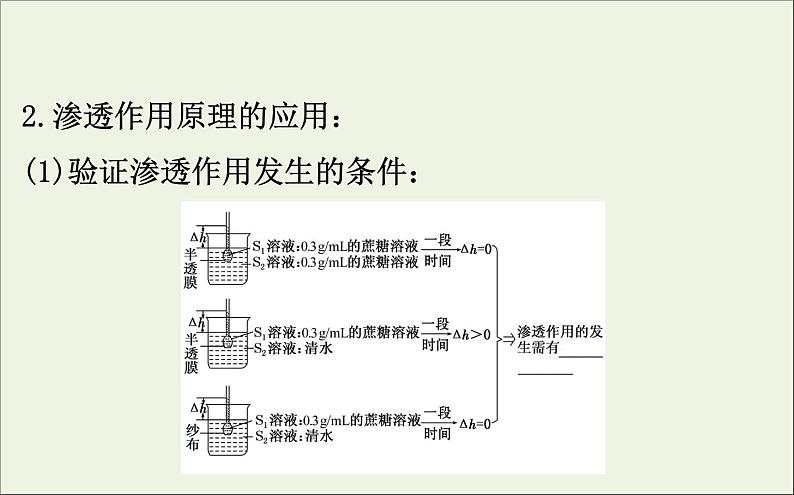 高中生物高考2020届高考生物一轮复习2 4物质跨膜运输的实例和方式课件 60第5页