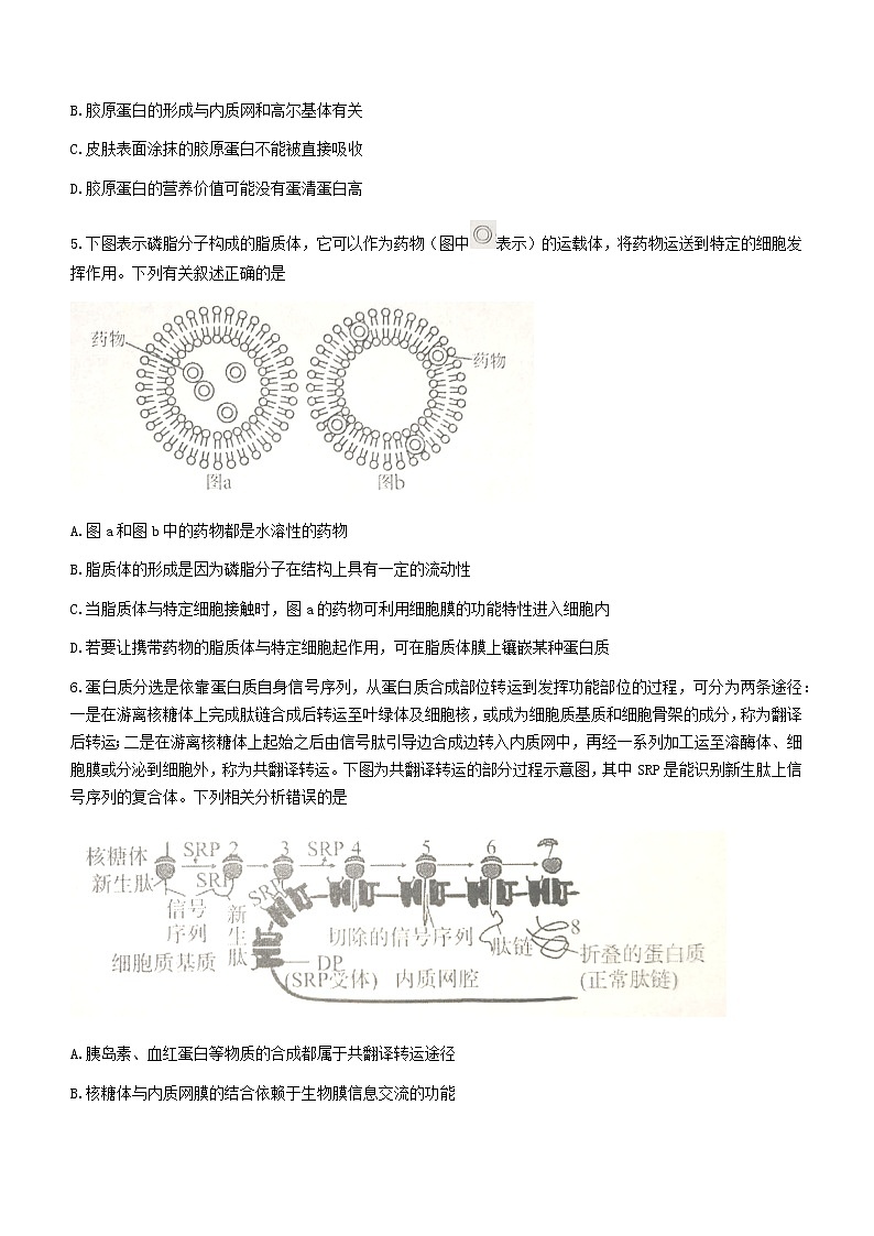 2022-2023学年湖北省武汉市江岸区高一上学期期末质量检测生物学试题含答案第2页