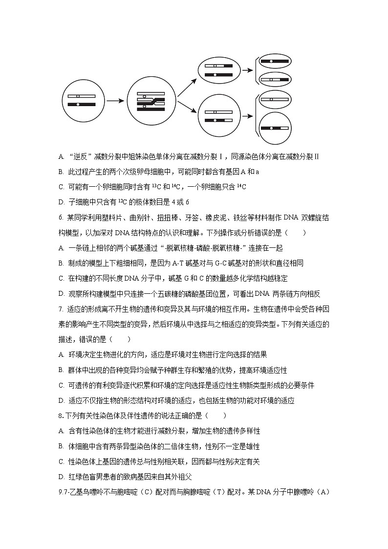 湖北省2023届高三生物下学期第五次适应性模拟试卷（Word版附解析）第3页