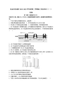 北京市东城区2022-2023学年高三生物下学期综合练习（一）试题（Word版附答案）