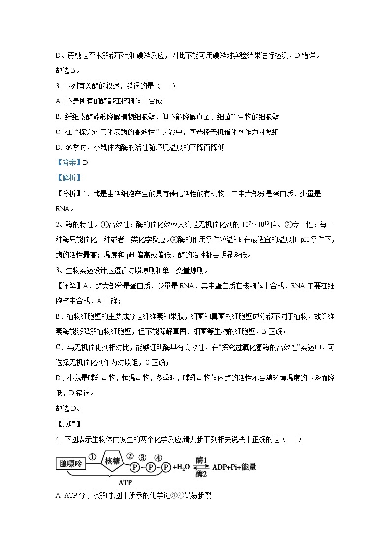 重庆市万州第二高级中学2022-2023学年高一生物下学期3月第一次月考试题（Word版附解析）02