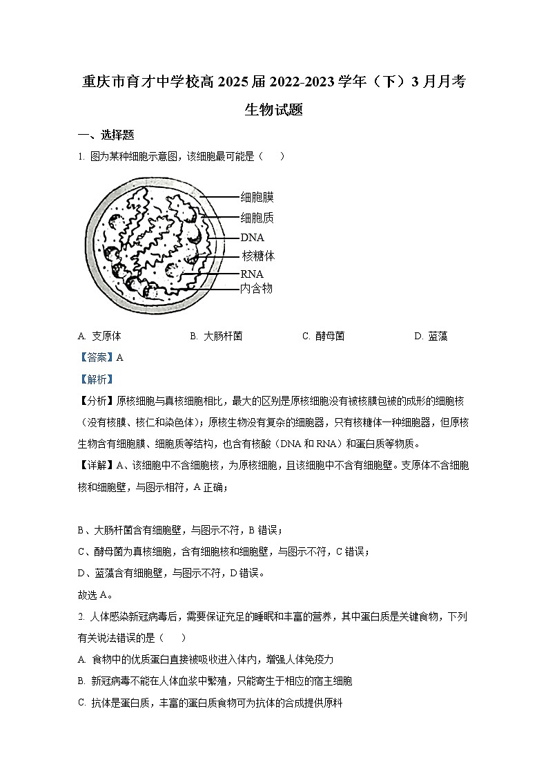 重庆市育才中学2022-2023学年高一生物下学期3月月考试题（Word版附解析）01