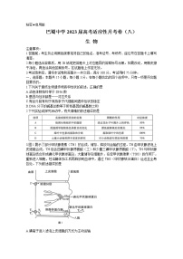 重庆市巴蜀中学2022-2023学年高三生物下学期高考适应性月考（八）（Word版附答案）