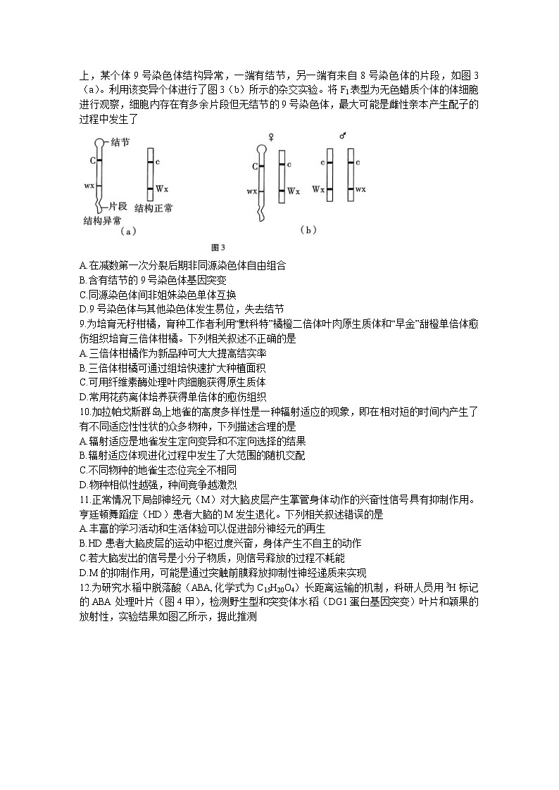 重庆市巴蜀中学2022-2023学年高三生物下学期高考适应性月考（八）（Word版附答案）第3页
