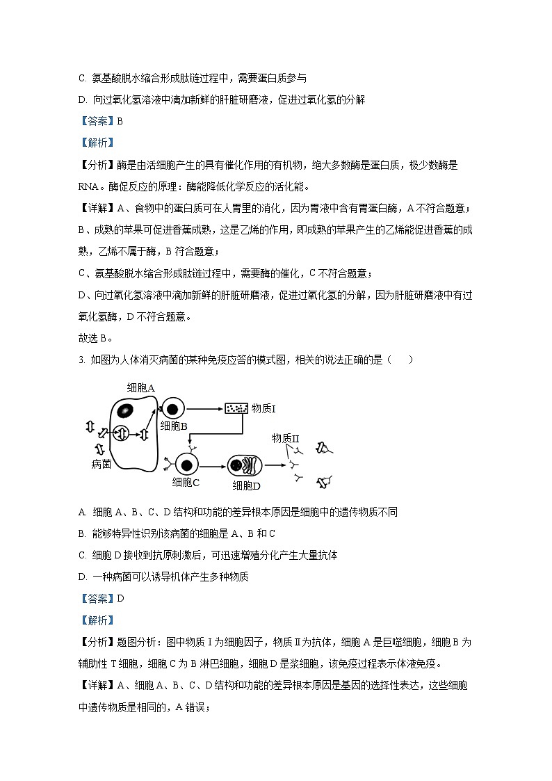 天津市部分区2023届高三生物下学期一模试题（Word版附解析）02