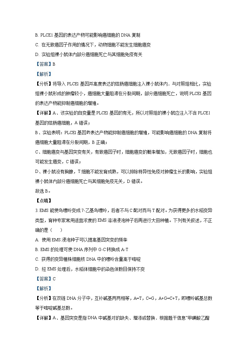 四川省绵阳南山中学2022-2023年高三生物下学期第11次综合演练试题（Word版附解析）02