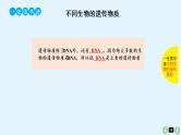 高中生物高考高考生物（全国版）一轮复习课件：第20课-DNA是主要的遗传物质