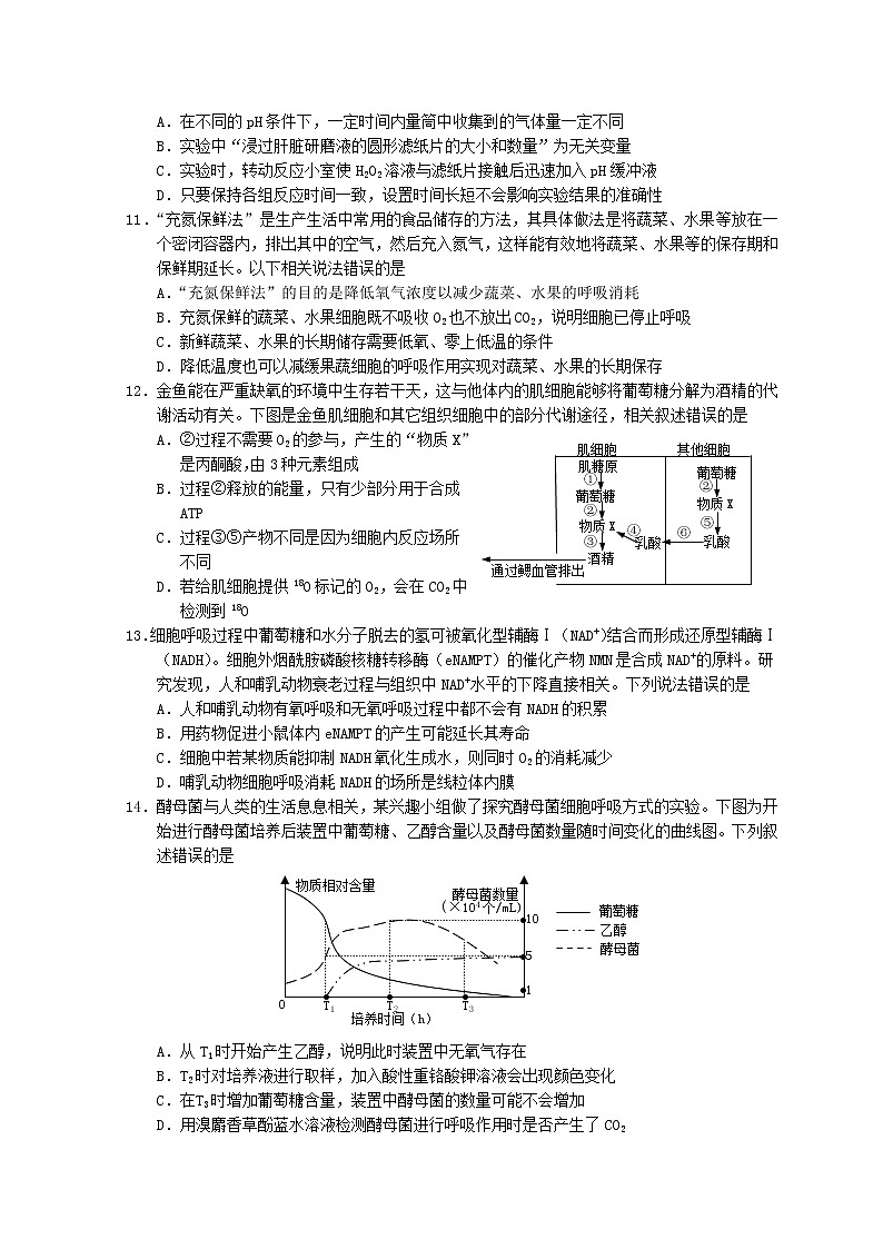 山东省烟台市2020-2021学年高二下学期期末考试生物试题 word版含答案03