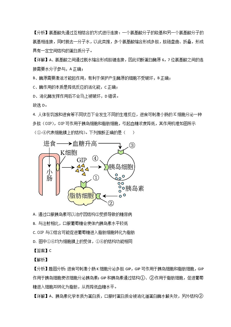 山东省烟台市2021-2022学年高二下学期期末考试生物试题 word版含解析03