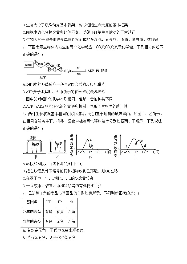 四川省泸县第一中学2022-2023学年高一下学期3月月考生物试卷（含答案）02