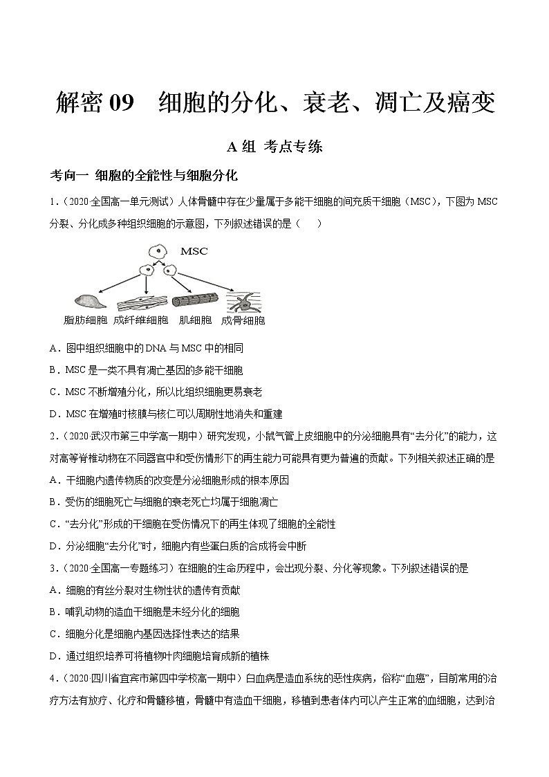 高中生物高考解密09 细胞的分化、衰老、凋亡及癌变（分层训练）（原卷版）第1页