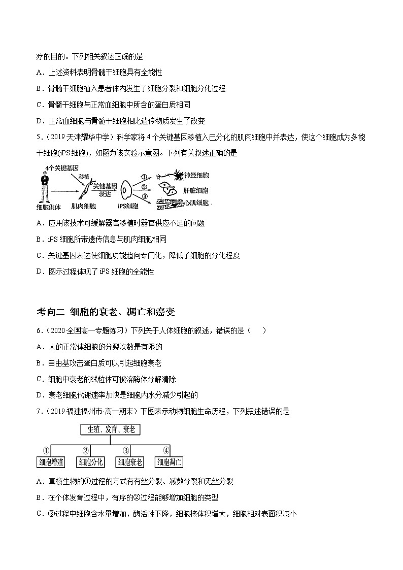 高中生物高考解密09 细胞的分化、衰老、凋亡及癌变（分层训练）（原卷版）第2页