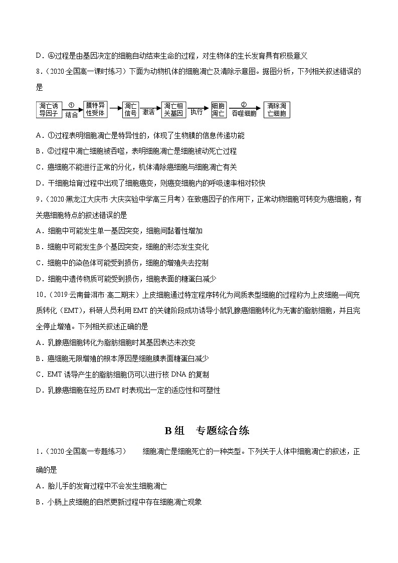 高中生物高考解密09 细胞的分化、衰老、凋亡及癌变（分层训练）（原卷版）第3页
