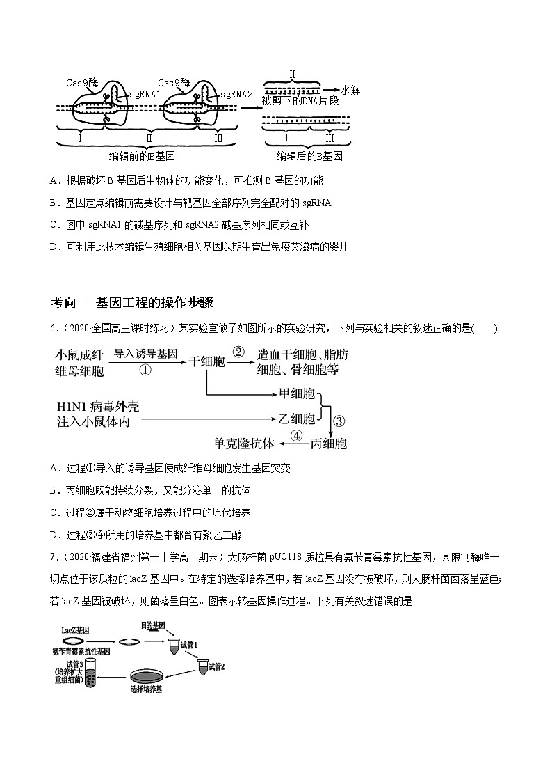 高中生物高考解密26 基因工程（分层训练）（原卷版）第2页