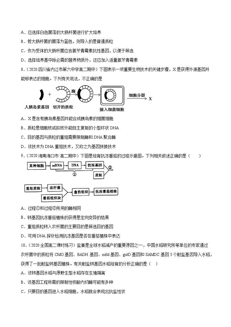 高中生物高考解密26 基因工程（分层训练）（原卷版）第3页