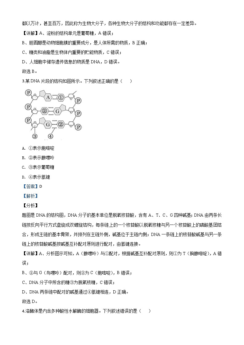 高中生物高考精品解析：2020年浙江省高考生物试卷（7月选考）（解析版）第2页