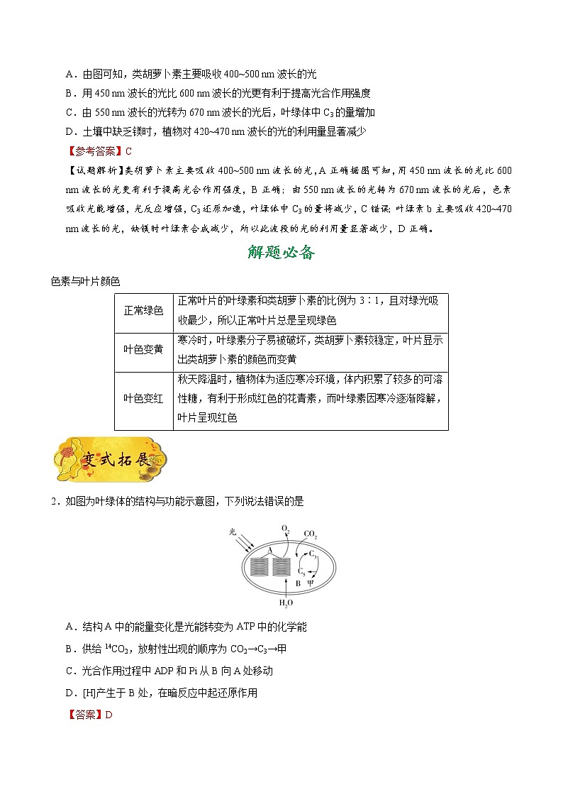 高中生物高考考点19 光合作用-备战2022年高考生物考点一遍过第3页