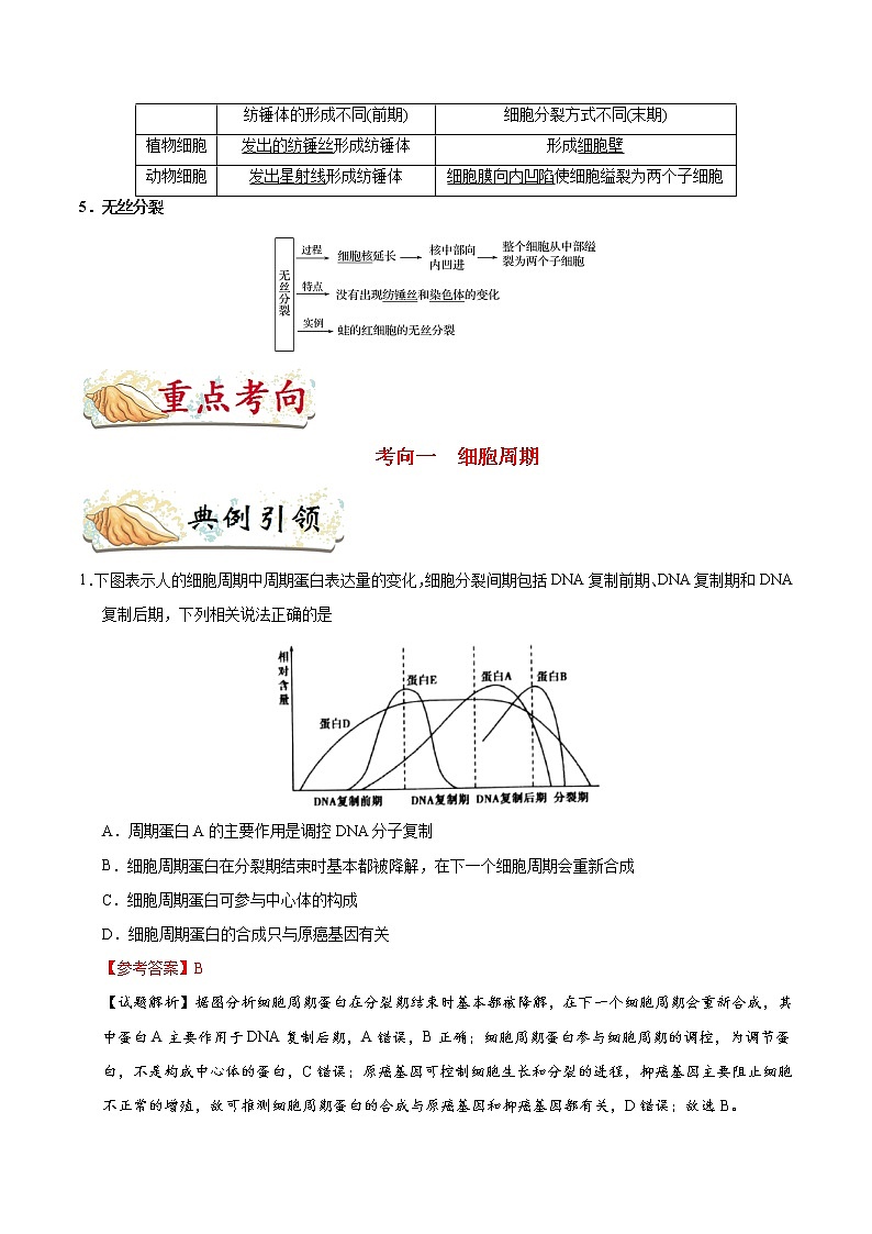 高中生物高考考点21 细胞的增殖-备战2022年高考生物考点一遍过 试卷02