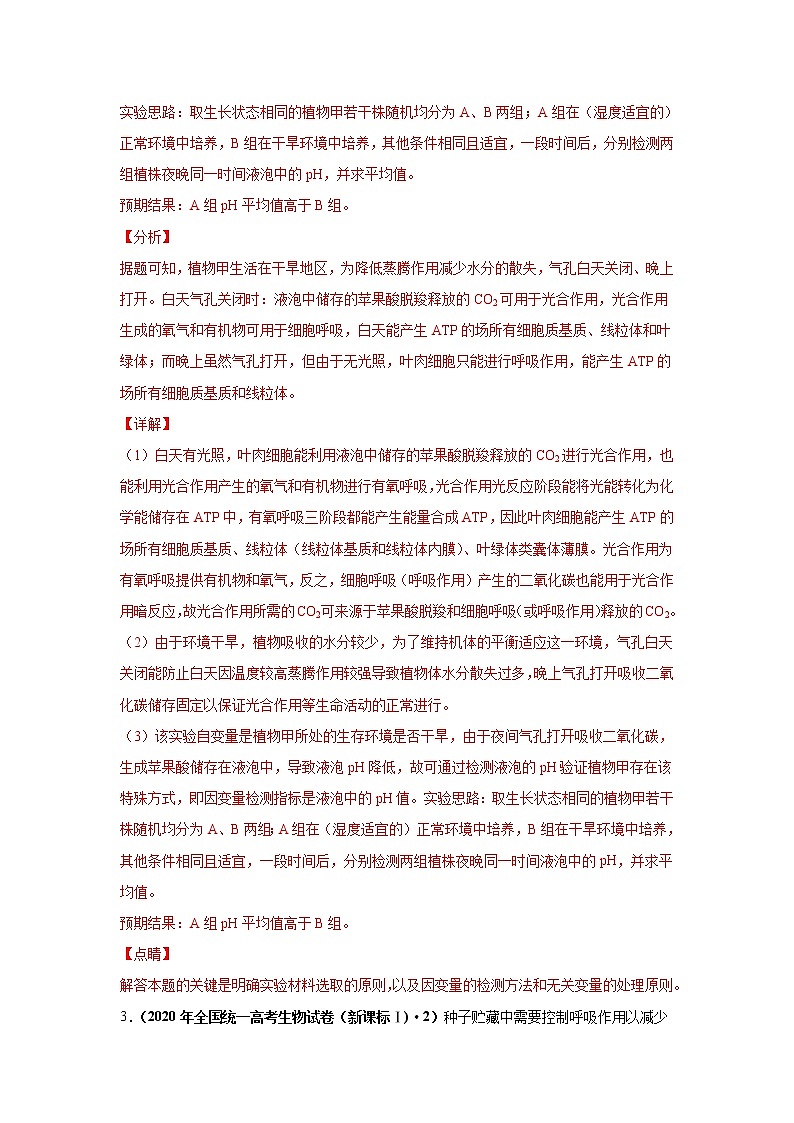 高中生物高考考点精讲5 细胞呼吸的原理和应用（作业）第2页