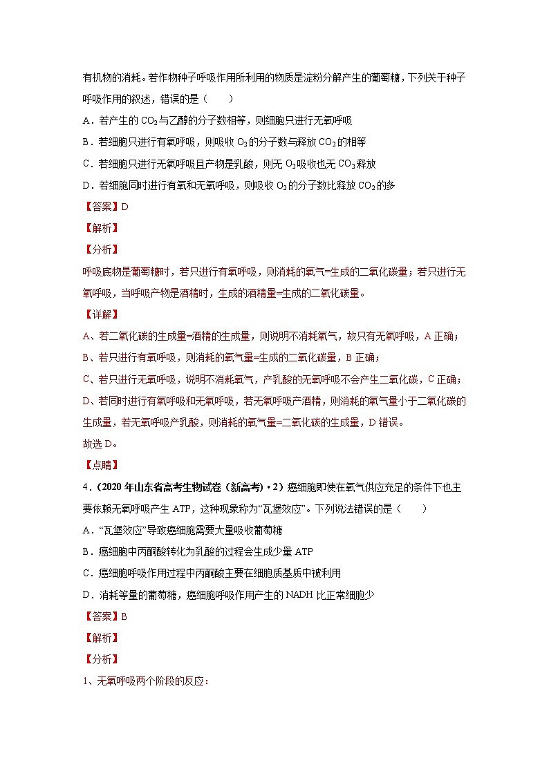 高中生物高考考点精讲5 细胞呼吸的原理和应用（作业）第3页