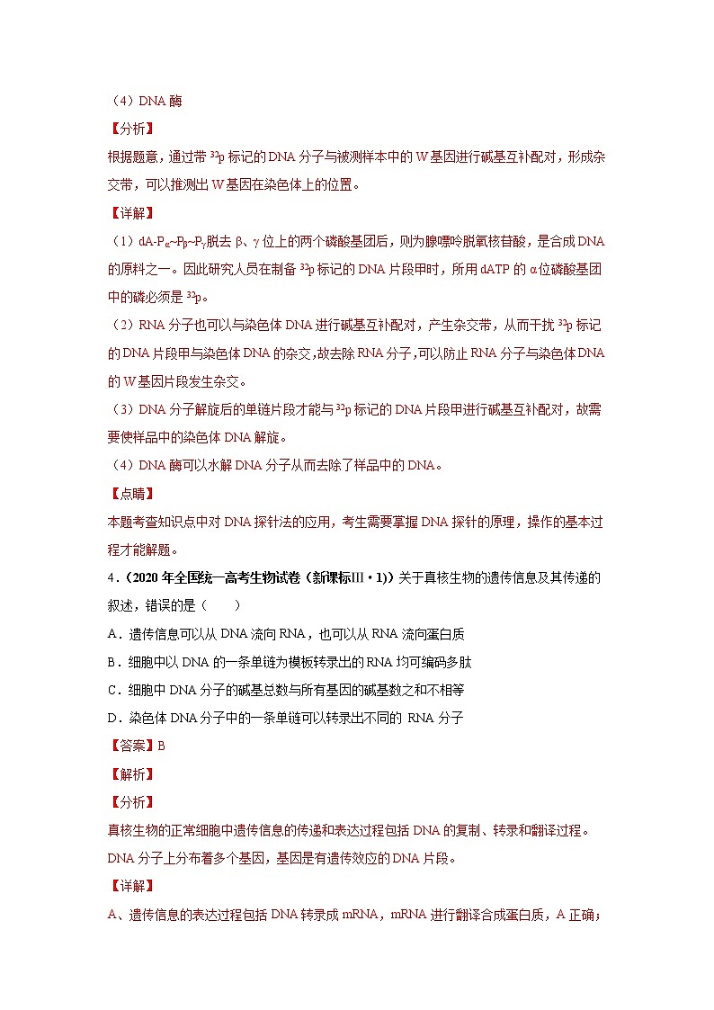 高中生物高考考点精讲9 遗传的分子基础（作业）第3页