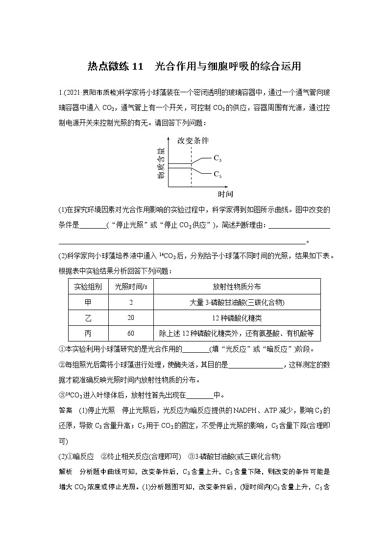 高中生物高考热点微练11　光合作用与细胞呼吸的综合运用01
