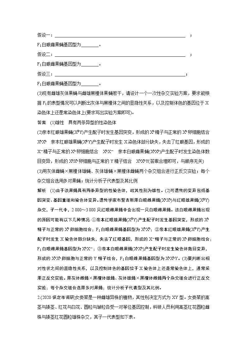 高中生物高考热点微练21　有关变异类型的实验探究第2页