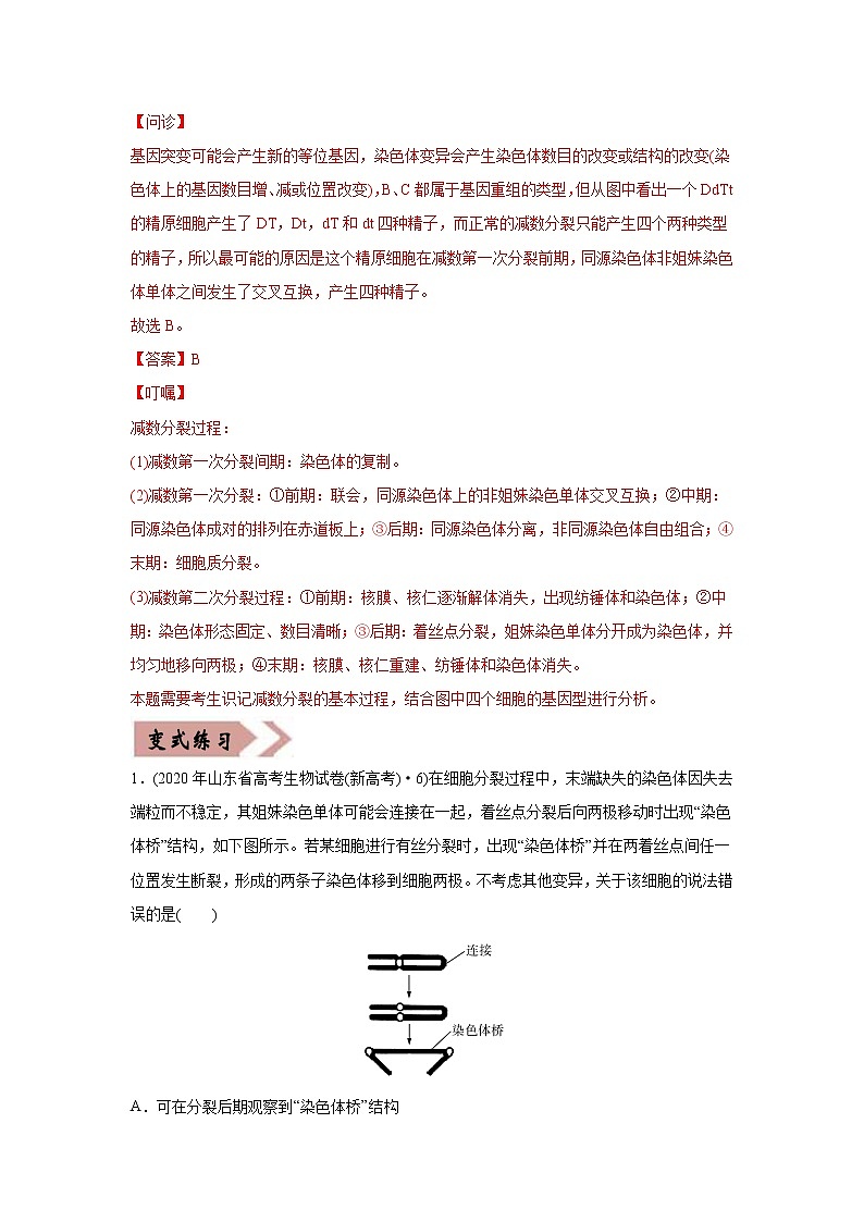 高中生物高考易错点08 生物的变异和育种-2021年高考生物一轮复习易错题（教师版含解析）第2页
