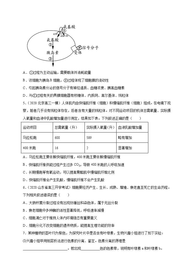 高中生物高考专练07 高分突破 题-2020年高考生物总复习考点必杀800题（原卷版）02