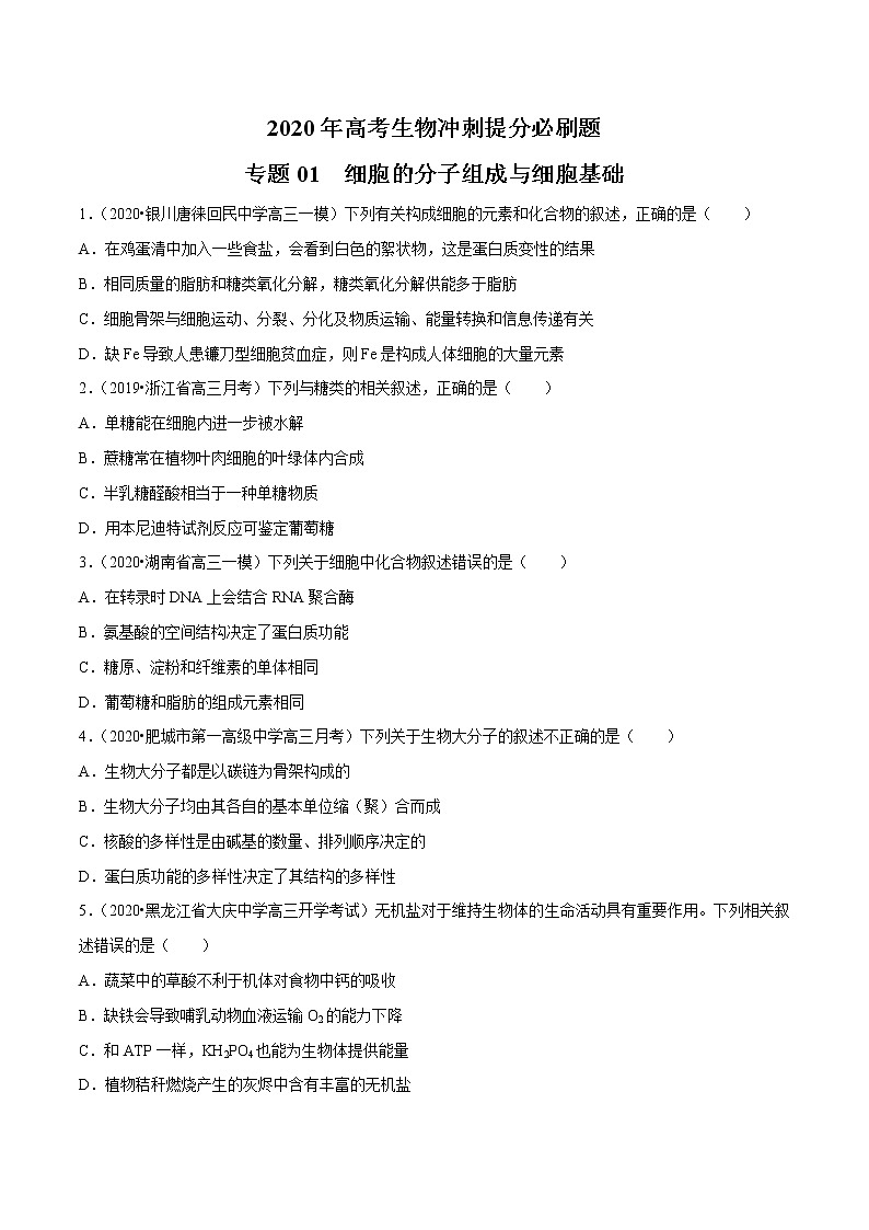 高中生物高考专题01 细胞的分子组成与细胞基础（原卷版）第1页