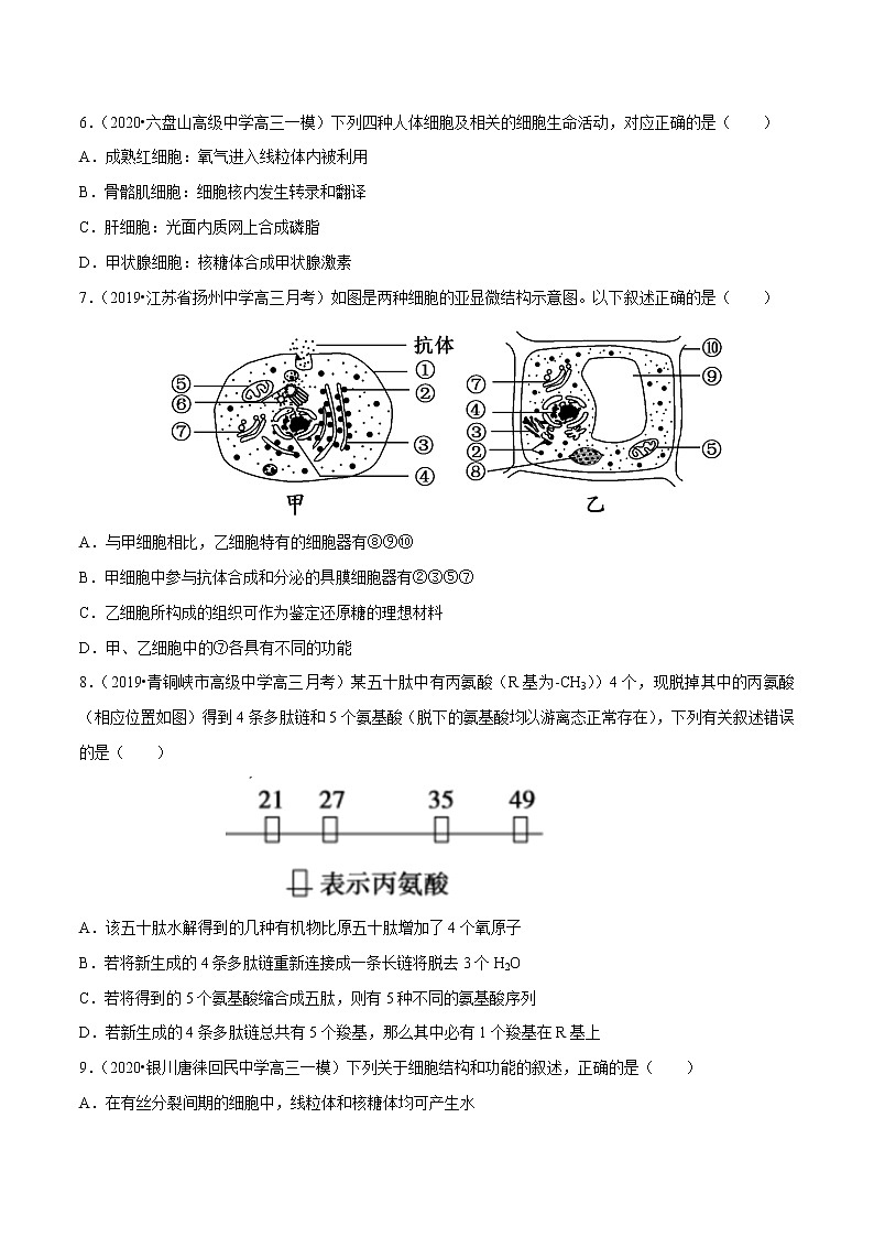 高中生物高考专题01 细胞的分子组成与细胞基础（原卷版）第2页
