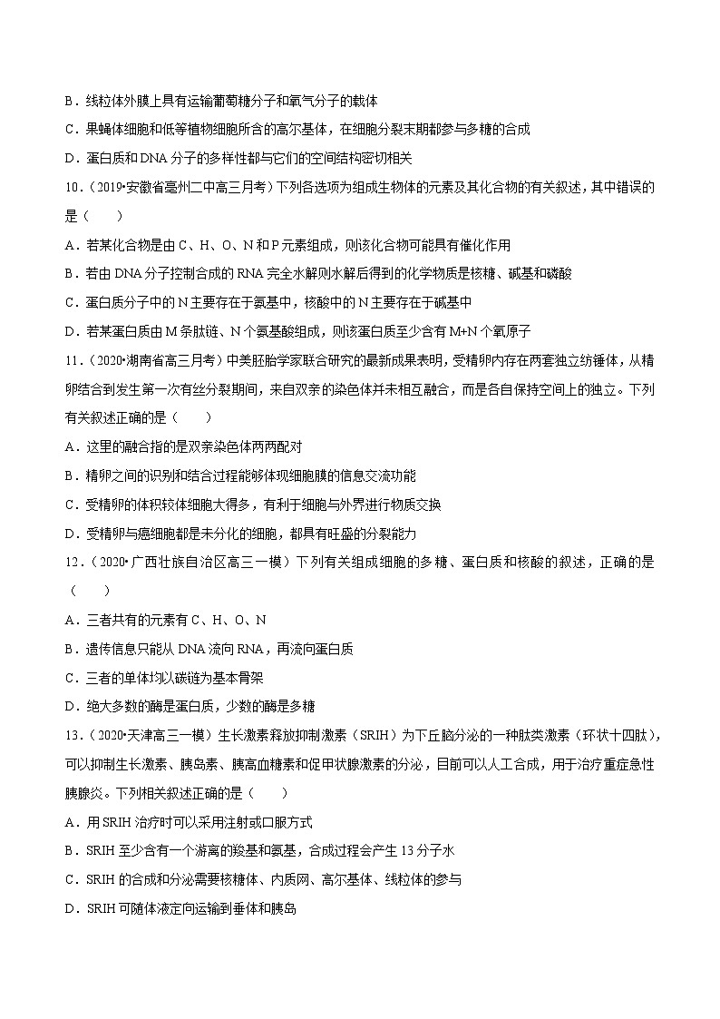 高中生物高考专题01 细胞的分子组成与细胞基础（原卷版）第3页