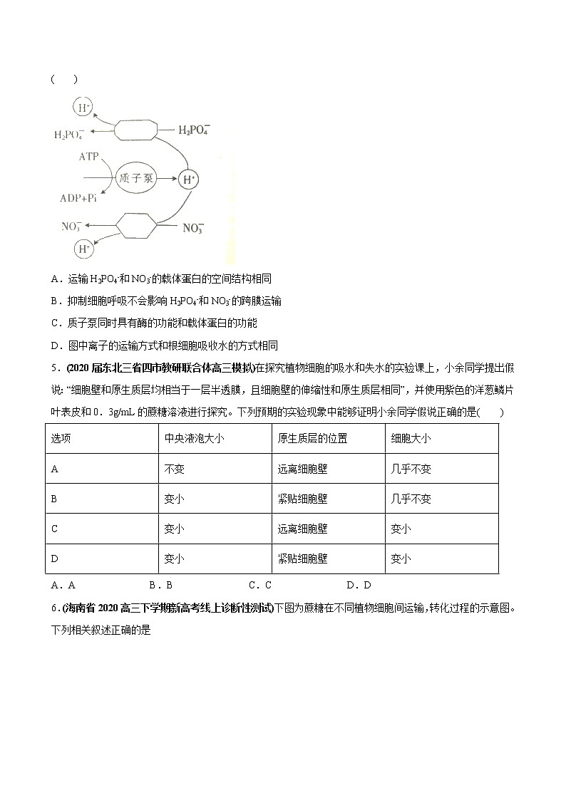 高中生物高考专题02 物质进出细胞、酶和ATP-2020年高考真题和模拟题生物分项汇编（学生版）02