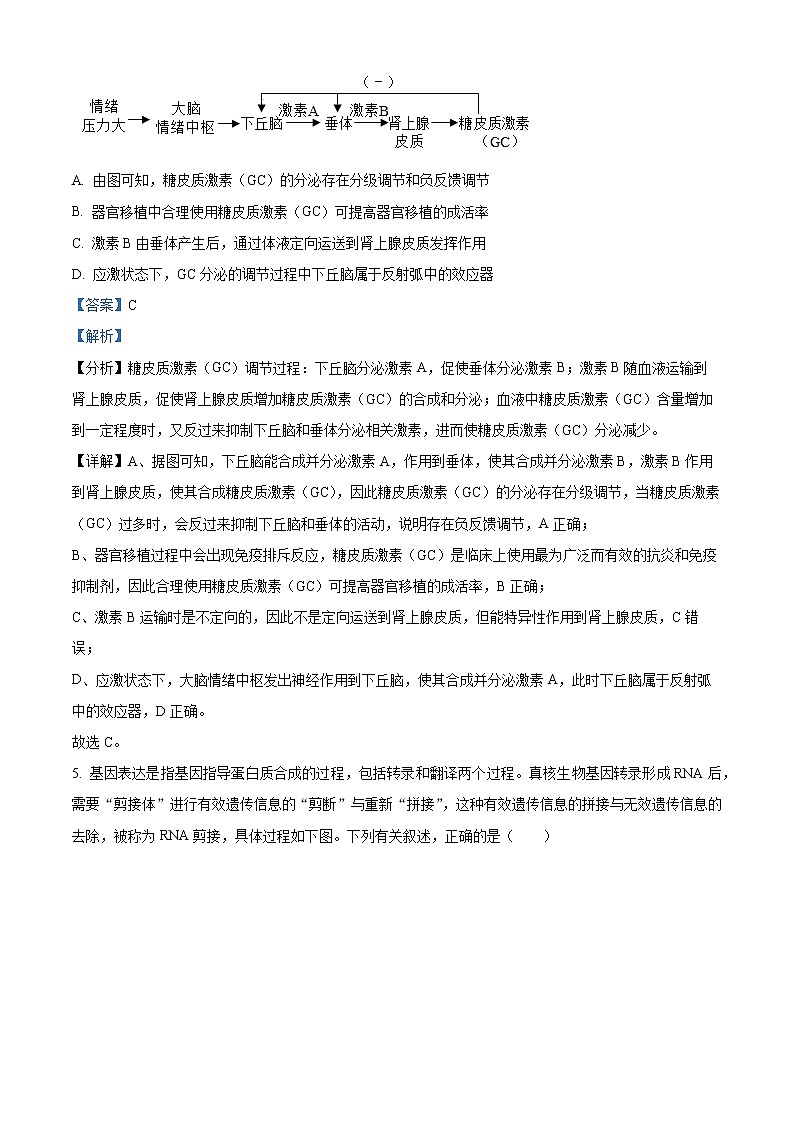 2023宜宾普通高中高三第二次诊断测试理综生物试题含解析03
