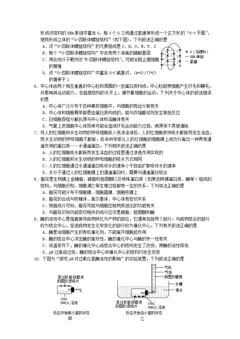 2021烟台高二下学期期末考试生物试题含答案02