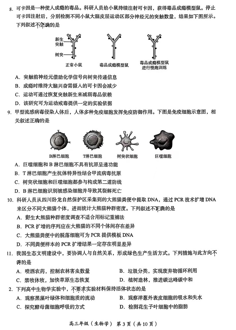 2023年北京海淀高三一模生物试题及答案解析03
