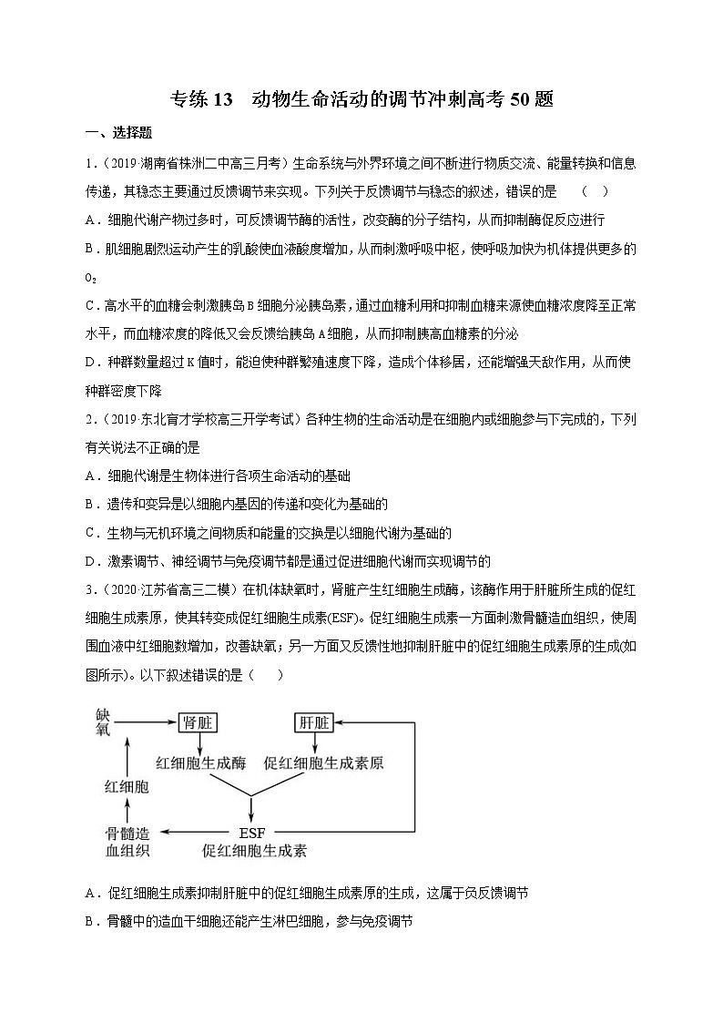 高中生物高考专练13 动物生命活动的调节冲刺高考 题-2020年高考生物总复习考点必杀800题（原卷版）01