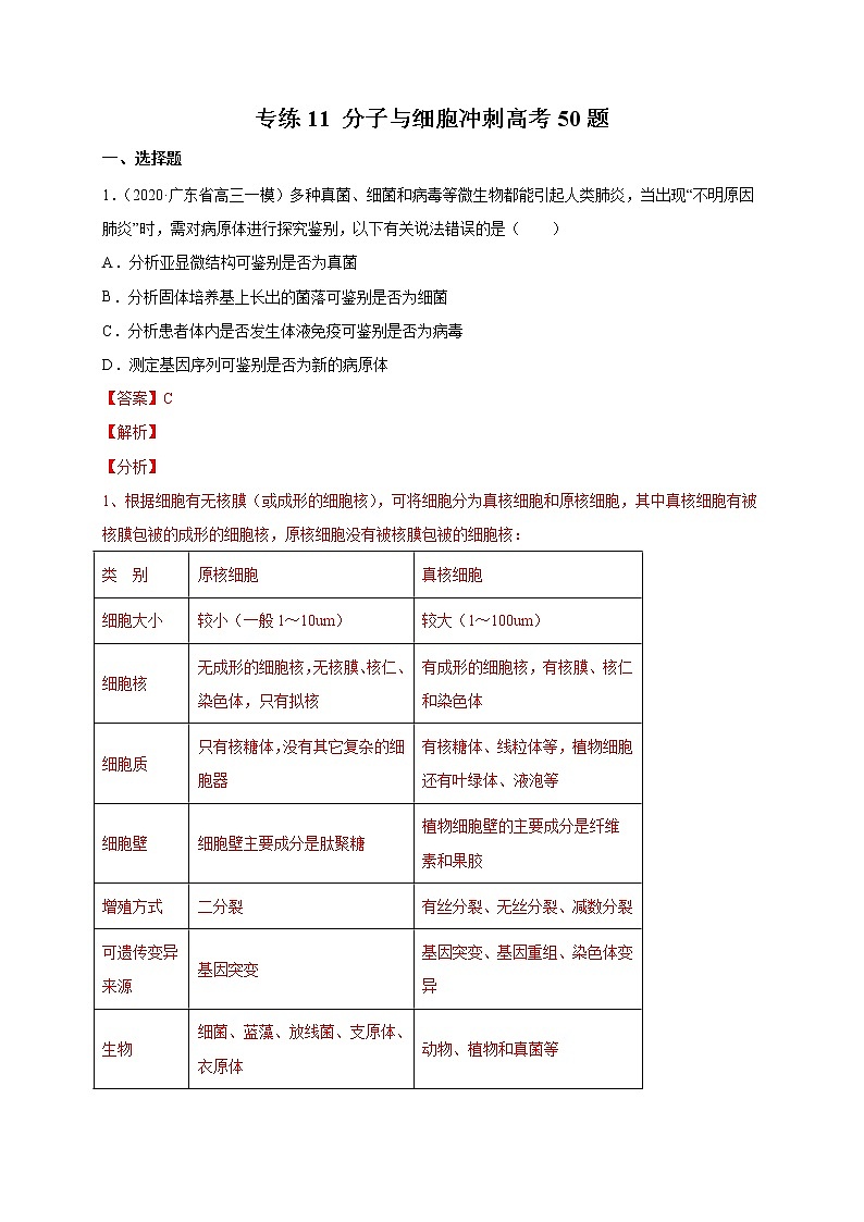 高中生物高考专练11 分子与细胞冲刺高考 题-2020年高考生物总复习考点必杀800题（解析版）01