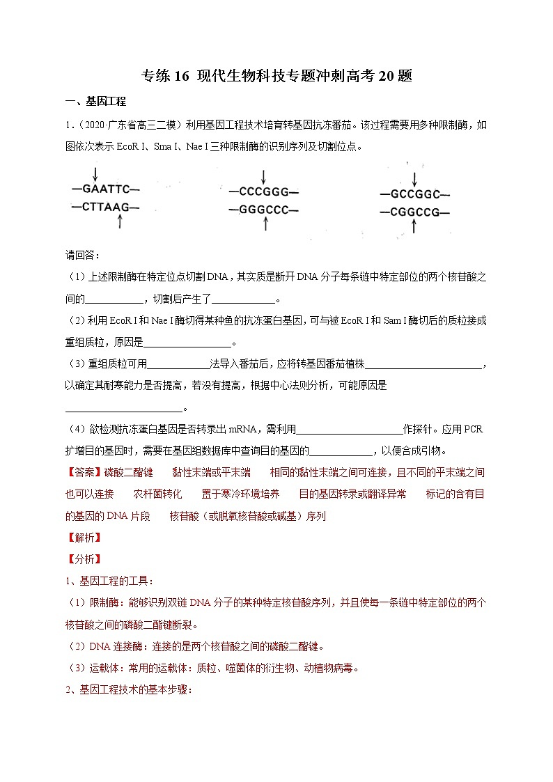 高中生物高考专练16 现代生物科技专题冲刺高考20题-2020年高考生物总复习考点必杀800题（解析版）第1页