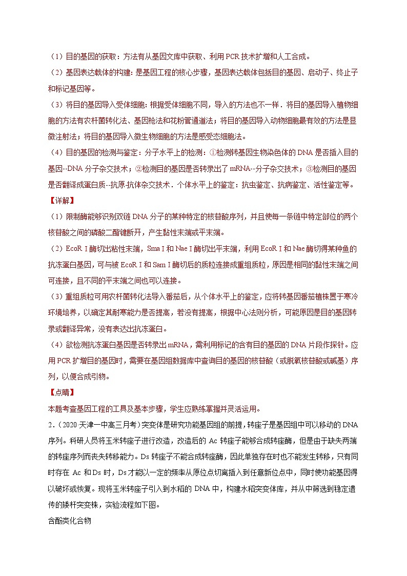 高中生物高考专练16 现代生物科技专题冲刺高考20题-2020年高考生物总复习考点必杀800题（解析版）第2页