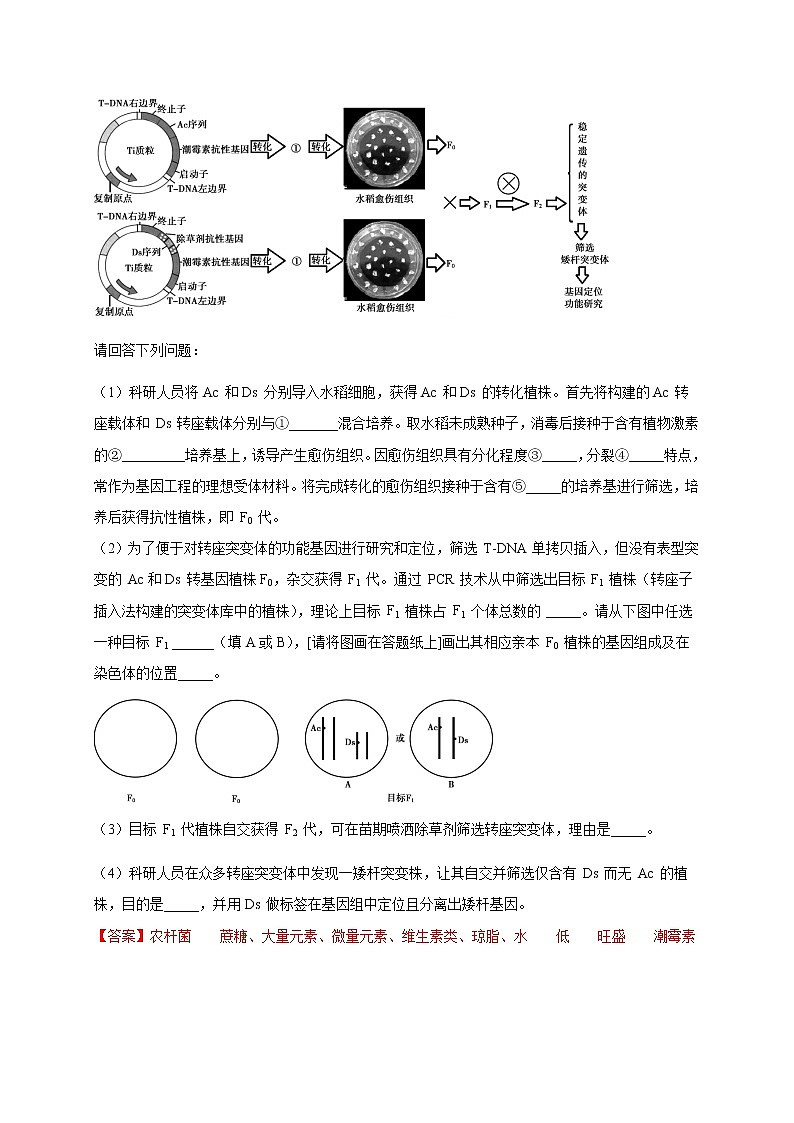 高中生物高考专练16 现代生物科技专题冲刺高考20题-2020年高考生物总复习考点必杀800题（解析版）第3页