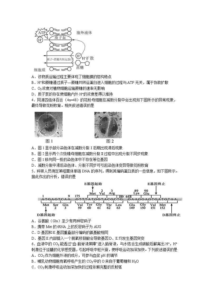 江苏省徐州市七中2022-2023学年高三2月调研生物试题第2页