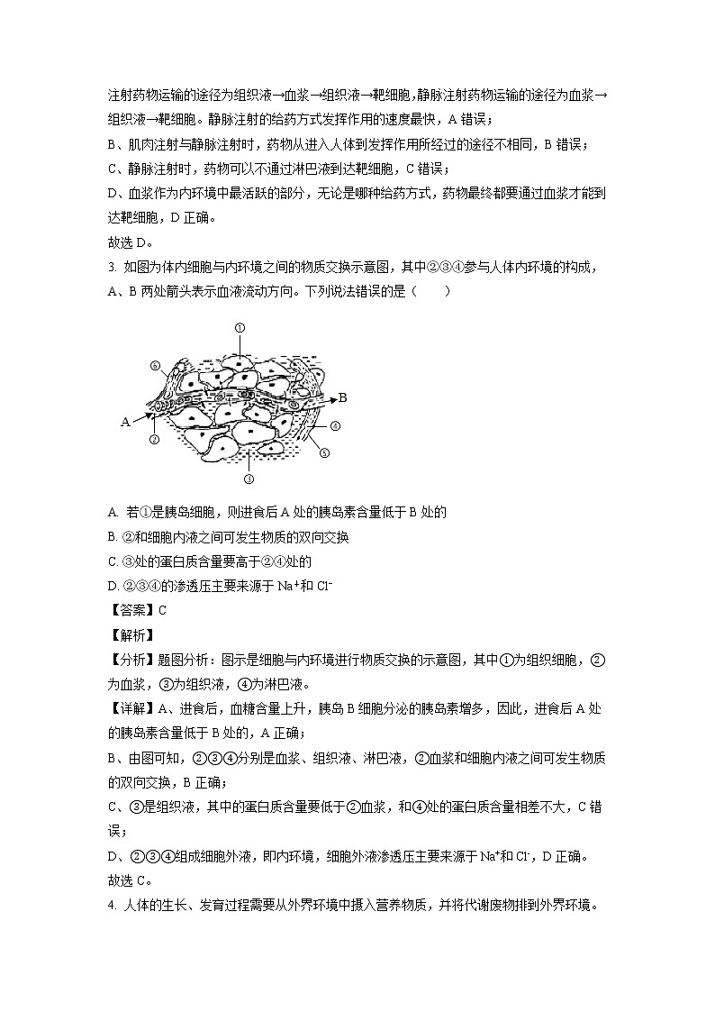 2022-2023学年河南省创新联盟高二上学期第一次联考（月考）生物试题含解析第2页
