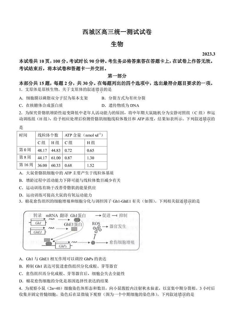 2023届北京市西城区高三下学期一模试题 生物（PDF版）01
