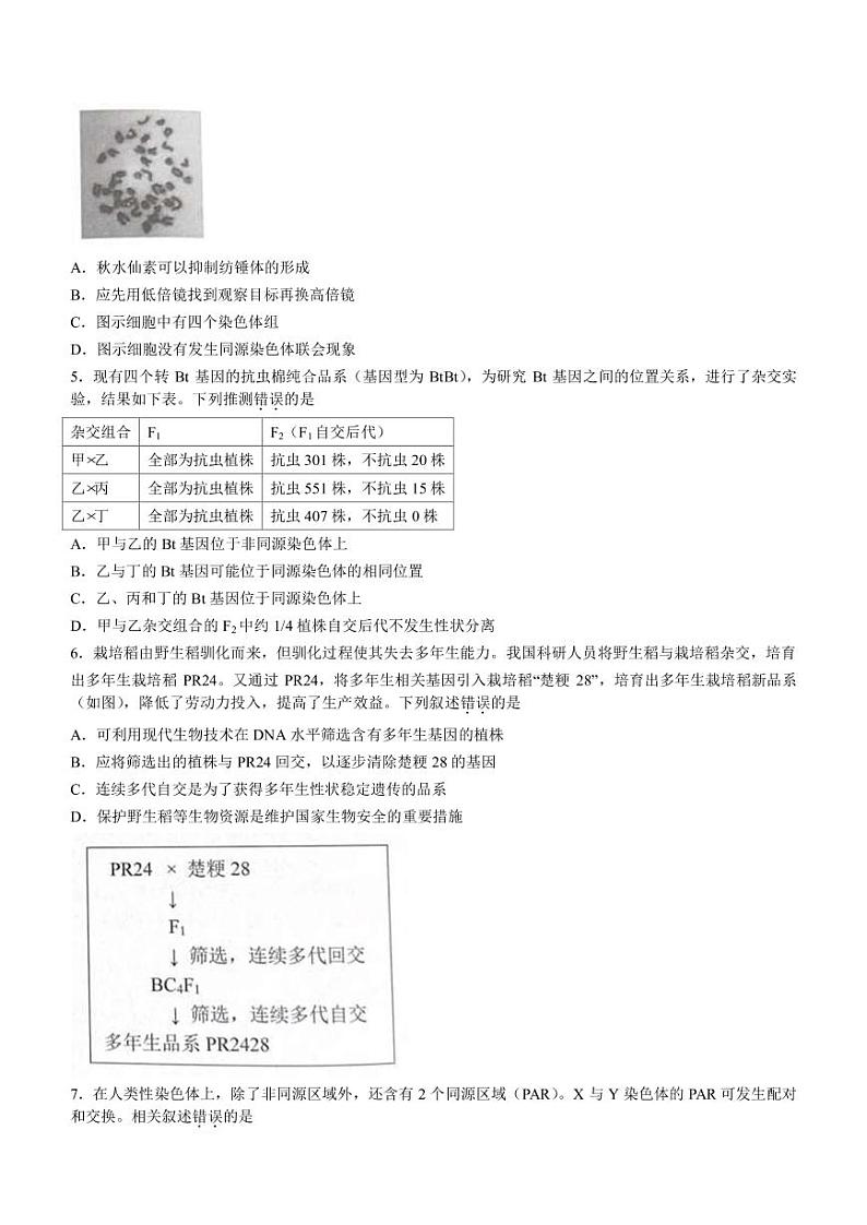 2023届北京市西城区高三下学期一模试题 生物（PDF版）02