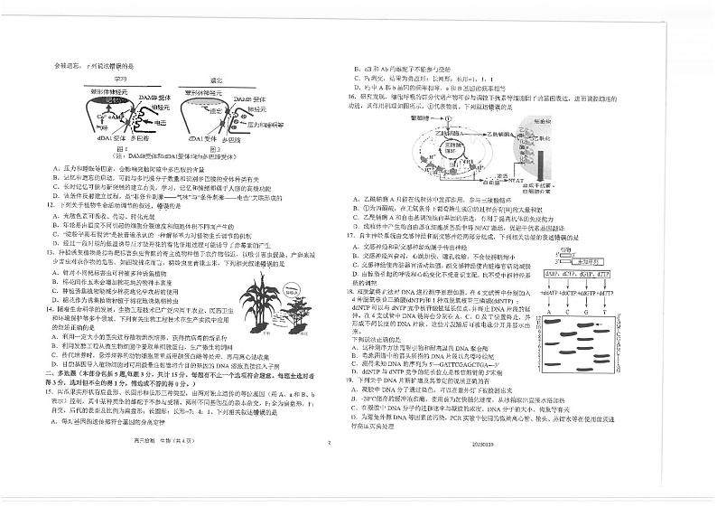 2023届江苏省海安市重点中学高三下学期阶段检测（四） 生物第2页