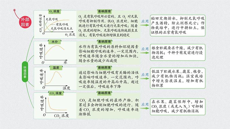 高中生物高考考点精讲5 细胞呼吸的原理和应用（课件）练习题06