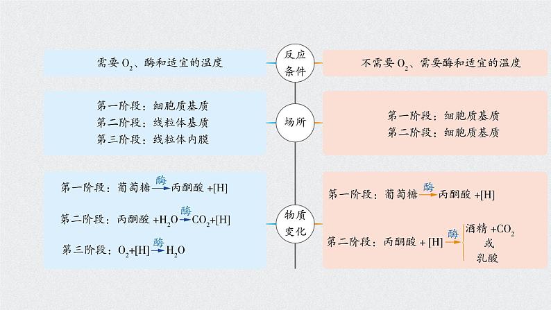 高中生物高考考点精讲5 细胞呼吸的原理和应用（课件）练习题07