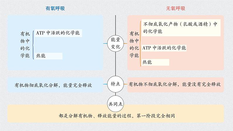 高中生物高考考点精讲5 细胞呼吸的原理和应用（课件）练习题08