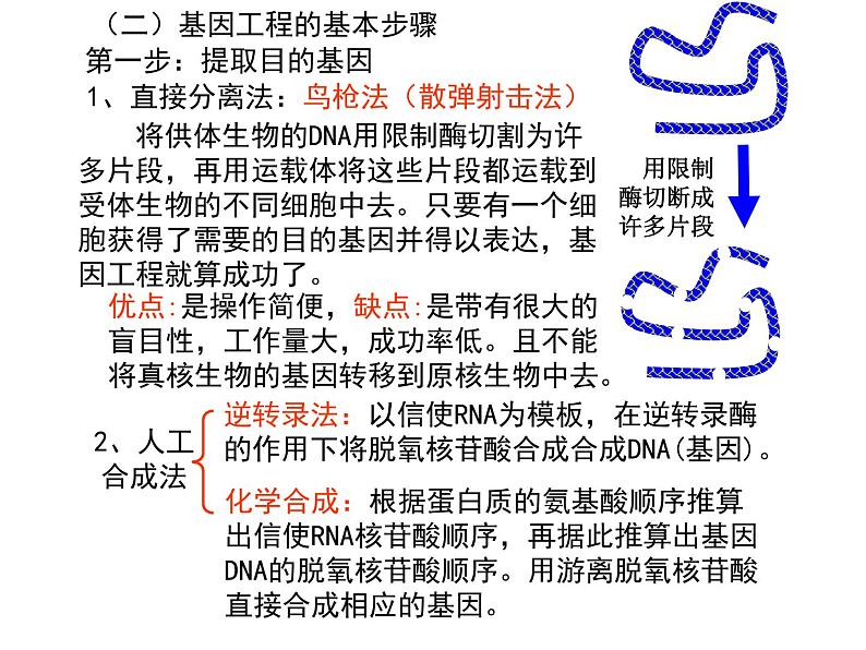 高中生物高考考点精讲16 基因工程、生物技术的安全性与伦理问题（课件）06